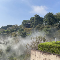 お庭からの景色です。都内でもビルなど見えずに世界観あります。