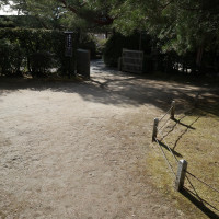 平安神宮のお庭