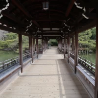 平安神宮のお庭。ゲストの方が散策されていました