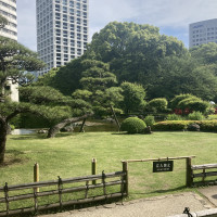 日本庭園です