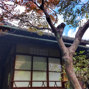 10月から色づき始めていました|681299さんの京都祝言 SHU:GENの写真(1951927)