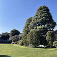 ここを背景に撮影しました