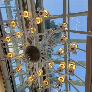 天井のカーテン開閉可能。会場は明るく素敵でした。