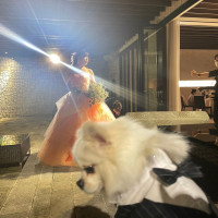 披露宴中は犬はガーデンにいました