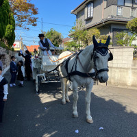 馬車ウエディング