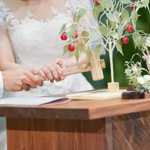Mori Lee  インポート ウェディングドレス　値下げ交渉歓迎！ Mori Lee インポート ウェディングドレス値下げ交渉歓迎！