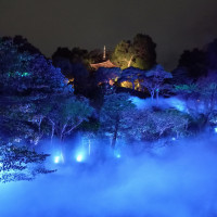 夜の雲海です。30分に1回、見ることができます。