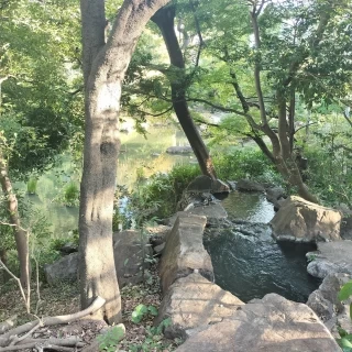 庭園