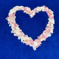 フラワーシャワーの後も可愛かった