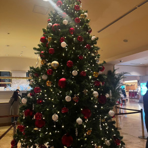ロビークリスマスツリー|683153さんのホテルオークラ東京ベイの写真(1967018)