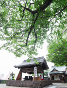 北野天満神社 北野祝言