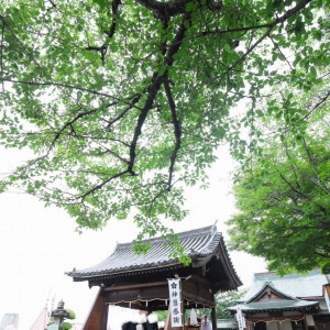 会場|683515さんの北野天満神社 北野祝言の写真(2224746)