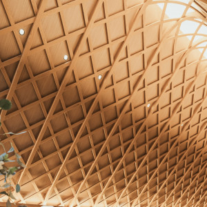 天井が木です|683551さんのアーヴェリール迎賓館(岡山)の写真(1999462)
