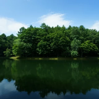 トムトム湖