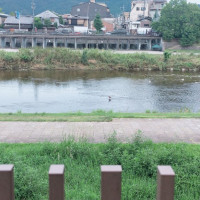 テラスから鴨川が望める