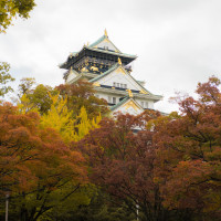 秋は紅葉×大阪城の景色が見れて最高でした