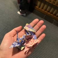 折り鶴シャワー