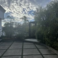 外に出てフラワーシャワーができる