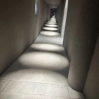 挙式会場に向かうまでが美術館のようでした