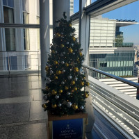 クリスマスツリーもありました