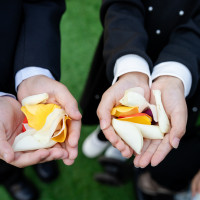 フラワーシャワーの花の色はお任せでした