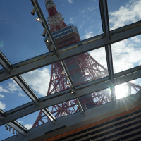圧巻の東京タワー