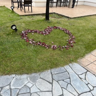 ハートが可愛い