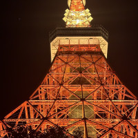 帰り際に撮った東京タワー