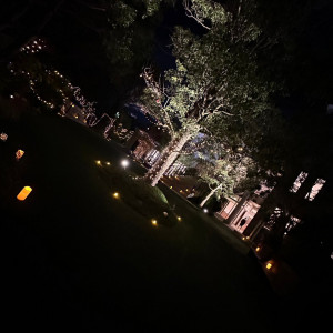 木にライトアップの電飾を巻きました|684832さんのザ・オランジェガーデン五十鈴川の写真(1980294)