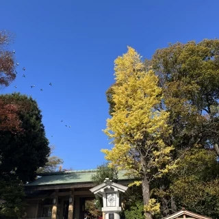 神社はとても趣があります