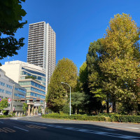 上野公園からはわかりやすい道のりです。