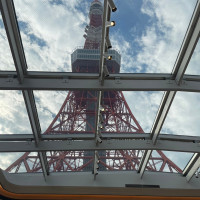 見上げたら東京タワー