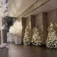クリスマス仕様のエントランス写真