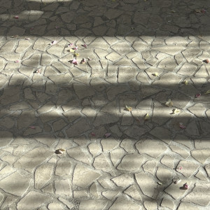 フラワートス後の床は花にまみれてかわいらしいです。|685292さんのアニヴェルセル 柏の写真(1984422)
