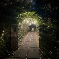 ガーデンに続く道
夜はライトアップされて綺麗