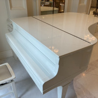 ホワイトハウスの披露宴会場に置いてあるピアノです。
