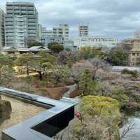 2月のお庭です