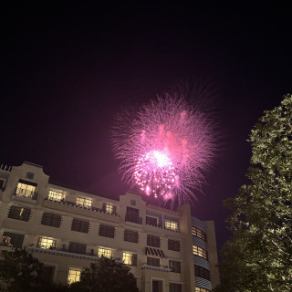 庭から見えたパークの花火