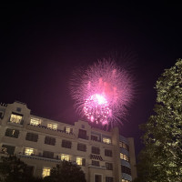 庭から見えたパークの花火