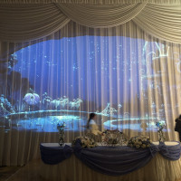 プロジェクトマッピング