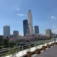 パシフィックのバルコニーからの景色