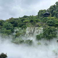 庭園　雲海発生時