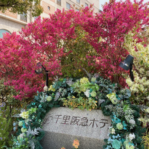 お花が季節ごとに変わって見るのが楽しみでした|686020さんの千里阪急ホテル CLASSIC GARDENの写真(1991509)