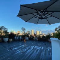 東京タワーが見える広場