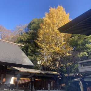 12月は紅葉が綺麗です|686423さんの乃木神社・乃木會館の写真(1994420)