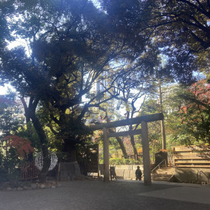 常緑樹も生えてるとの事でした|686423さんの乃木神社・乃木會館の写真(1994425)