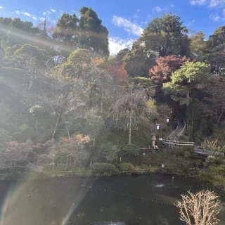 庭園に出られます