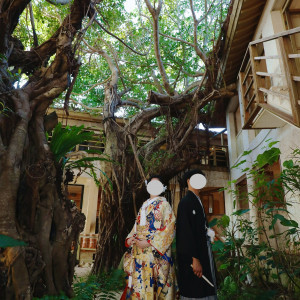 ガジュマルの木下|687835さんのホテル百名伽藍の写真(2009773)