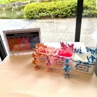 ドレス色当てクイズ