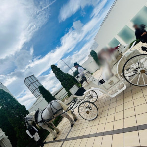 馬車は、ノートルダムマリノアで人気とのこと|687927さんのノートルダムマリノア/FIVESTAR WEDDING	の写真(2270400)